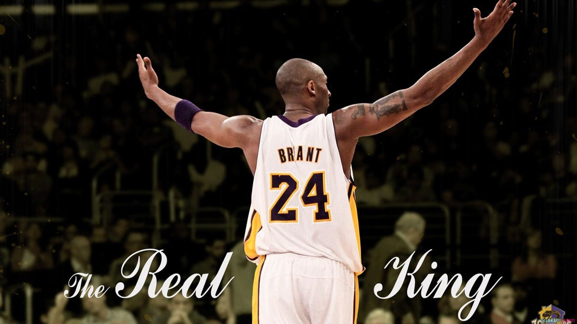 毛里求斯男篮在非洲预赛中展示实力，创造奇迹